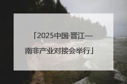 2025中国·晋江—南非产业对接会举行