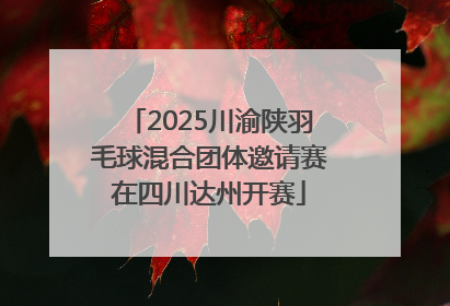 2025川渝陕羽毛球混合团体邀请赛在四川达州开赛