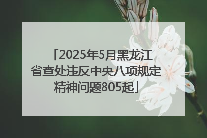 2025年5月黑龙江省查处违反中央八项规定精神问题805起