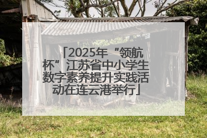 2025年“领航杯”江苏省中小学生数字素养提升实践活动在连云港举行