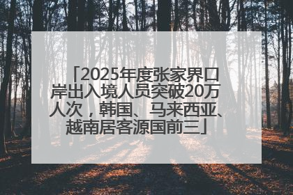 2025年度张家界口岸出入境人员突破20万人次，韩国、马来西亚、越南居客源国前三