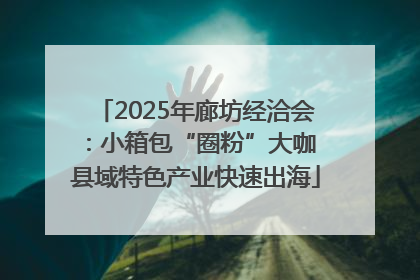 2025年廊坊经洽会：小箱包“圈粉”大咖 县域特色产业快速出海