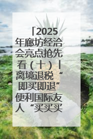 2025年廊坊经洽会亮点抢先看（十）丨离境退税“即买即退”便利国际友人“买买买”
