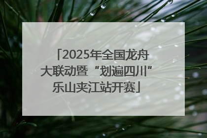 2025年全国龙舟大联动暨“划遍四川”乐山夹江站开赛