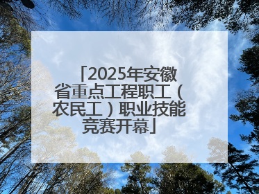 2025年安徽省重点工程职工（农民工）职业技能竞赛开幕