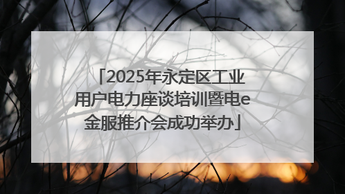 2025年永定区工业用户电力座谈培训暨电e金服推介会成功举办