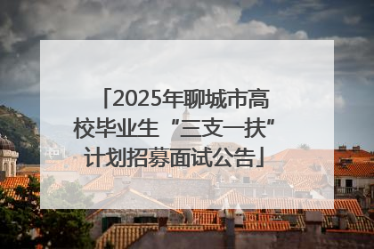 2025年聊城市高校毕业生“三支一扶”计划招募面试公告