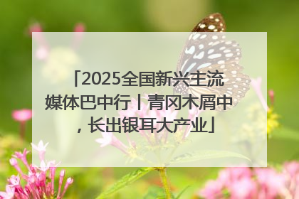 2025全国新兴主流媒体巴中行丨青冈木屑中，长出银耳大产业
