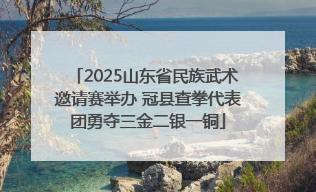 2025山东省民族武术邀请赛举办 冠县查拳代表团勇夺三金二银一铜