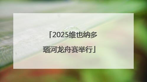 2025维也纳多瑙河龙舟赛举行