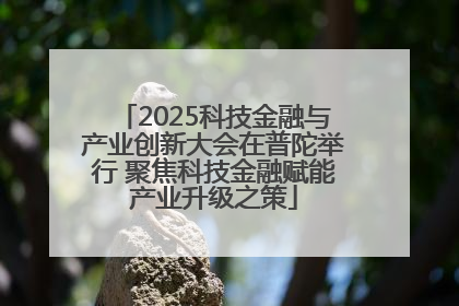 2025科技金融与产业创新大会在普陀举行 聚焦科技金融赋能产业升级之策