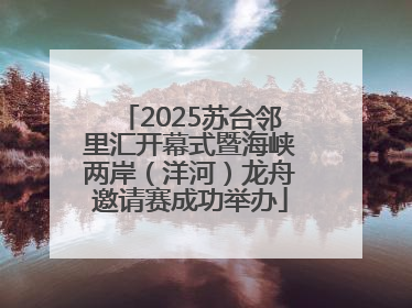 2025苏台邻里汇开幕式暨海峡两岸（洋河）龙舟邀请赛成功举办