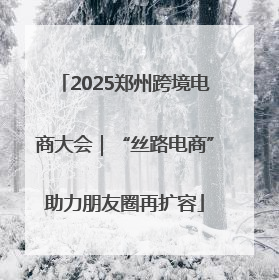 2025郑州跨境电商大会｜“丝路电商”助力朋友圈再扩容