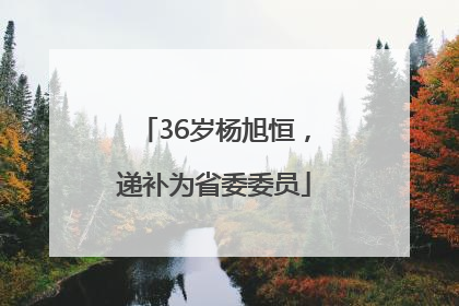 36岁杨旭恒，递补为省委委员