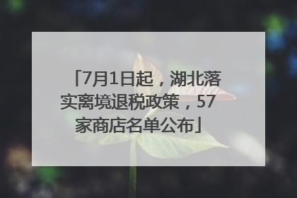 7月1日起，湖北落实离境退税政策，57家商店名单公布
