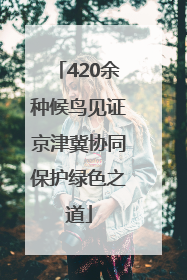 420余种候鸟见证京津冀协同保护绿色之道
