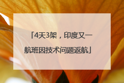 4天3架，印度又一航班因技术问题返航