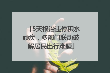 5天根治违停积水顽疾，多部门联动破解居民出行难题