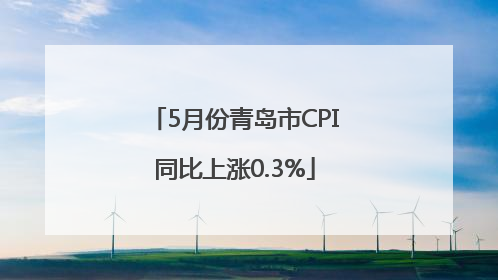 5月份青岛市CPI同比上涨0.3%