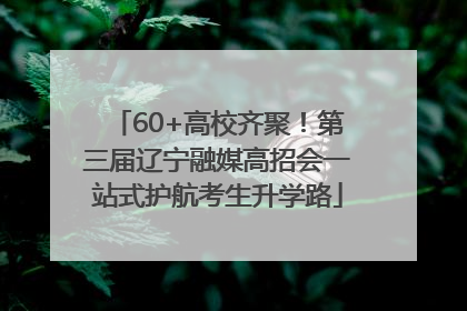 60+高校齐聚！第三届辽宁融媒高招会一站式护航考生升学路