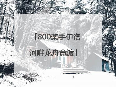 800桨手伊洛河畔龙舟竞渡