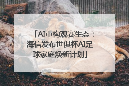 AI重构观赛生态：海信发布世俱杯AI足球家庭焕新计划