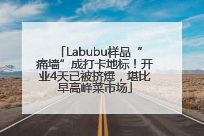 Labubu样品“痛墙”成打卡地标！开业4天已被挤爆，堪比早高峰菜市场