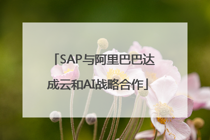 SAP与阿里巴巴达成云和AI战略合作