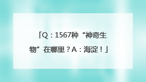 Q：1567种“神奇生物”在哪里？A：海淀！