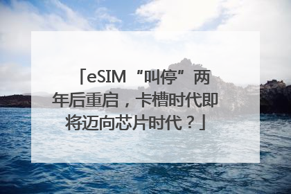 eSIM“叫停”两年后重启，卡槽时代即将迈向芯片时代？